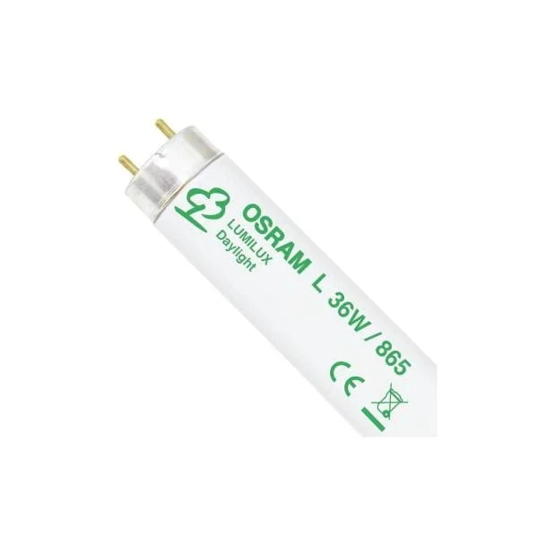 Osrom T8 Lumilux 36 Watt 865 120 cm Koop Vandaag