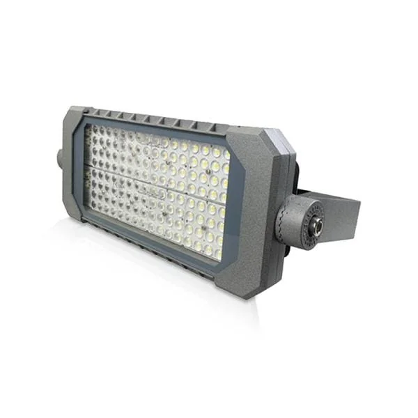Superprijs LED Terreinverlichting 100 W 5500 K