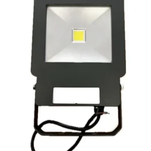 Boreas LED Floodlight 30W Favoriet