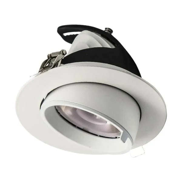Kantelbare Downlight 15 W CCT Switch Ø100 Wit Nu Kopen
