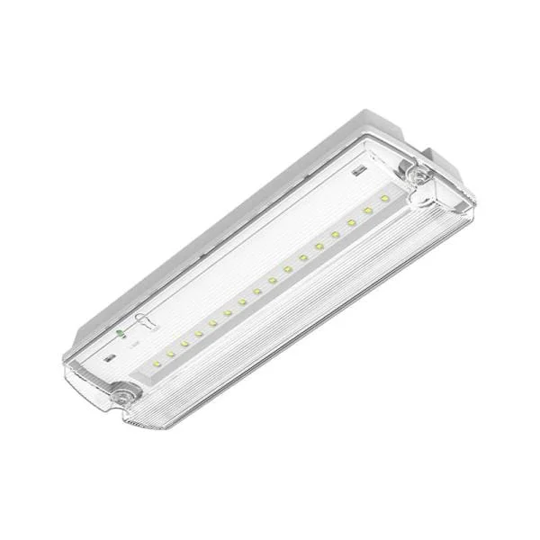 Hoge Kwaliteit Noodverlichting incl. pictogrammen 3 W IP66 6500K
