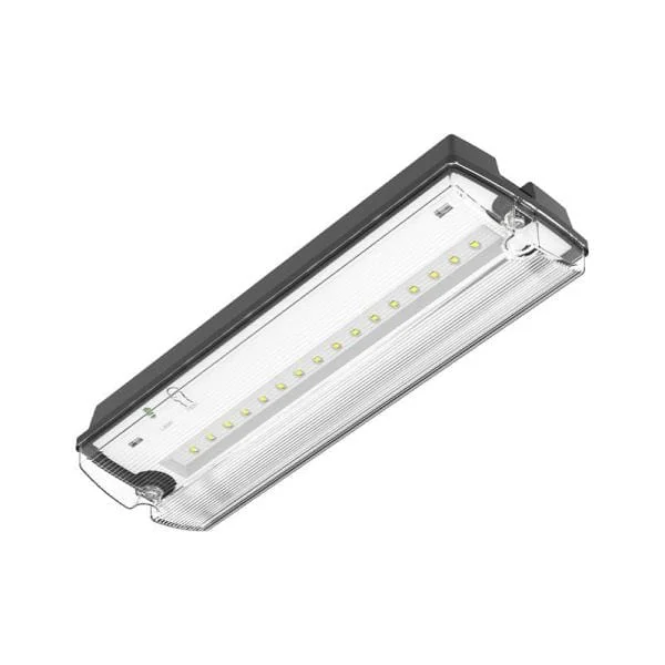 Noodverlichting incl. pictogrammen 3 W IP66 6500K Superprijs