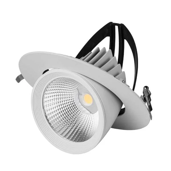 Kantelbare Downlight 40 W 4000K Ø195 Wit Fabrieksprijs