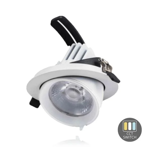 Kantelbare Downlight 28 W CCT Switch Ø145 Wit Koop Vandaag