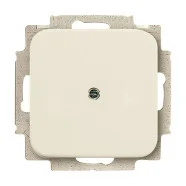 Beste Prijs Busch Jaeger 2538-212 blinde centraalplaat met draagring Crème-wit