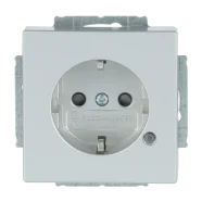 Busch Jaeger 20 EUCBL-83 Platform 63 Wandcontactdoos met randaarde met led-controle verlichting Aluzilver Direct Beschikbaar