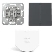 Betrouwbaar Gira Wipdrukcontact 2-voudig met Hue wandschakelaar module en Rechtstaande serie wippen Antraciet