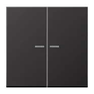 Betrouwbaar Jung HOME BT AL 17102 D Taster 2-voudig Dark