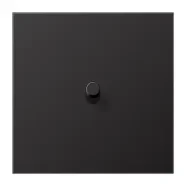 Veilige Betaling Jung AL 12-0 D R 01 Afdekking met tuimelhevel "cilinder" 1 tuimelhevel LS 1912 range Dark (aluminium gelakt)