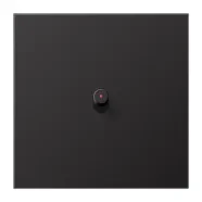 Aanbieding Jung AL 12-0 KO D R 01 Afdekking met tuimelhevel "cilinder" met lens 1 tuimelhevel LS 1912 range Dark (aluminium gelakt)