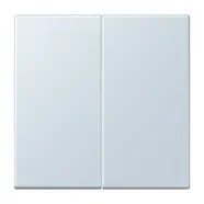 Weekendaanbieding Jung LC 1702 209 LB Management taster 2-voudig LS 990 outremer pâle (32023)