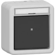 Tijdelijk Beschikbaar Gira 315230 Wipdrukcontact 10A 250V met tekstkader (onderstuk en bovenstuk) Maakcontact 1-polig met apart meldcontact