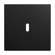 Busch Jaeger 6479-915 Busch-balance SI Centraalplaat USB voeding 1-voudig Zwart mat Shop Nu