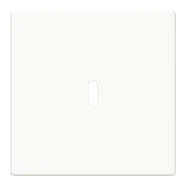 Busch Jaeger 6479-84 Platform 63 Centraalplaat USB voeding 1-voudig Studiowit Beperkte Voorraad