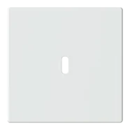 Busch Jaeger 6479-84 Platform 63 Centraalplaat USB voeding 1-voudig Studiowit mat Beperkte Voorraad
