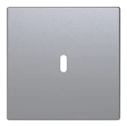 Busch Jaeger 6479-83 Platform 63 Centraalplaat USB voeding 1-voudig Aluzilver Gereduceerde Prijs