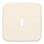 Busch Jaeger 6479-212 Busch-Duro Centraalplaat USB voeding 1-voudig Crème-wit Snelle Levering