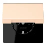 Betaalbaar Jung LC 1520 NBFKL 238 Wandcontactdoos met randaarde 16A 250V klapdeksel LS 990 terre sienne pâle (32123)