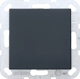 Gira 0268005 blindplaat centraalplaat zwart mat Weekendaanbieding