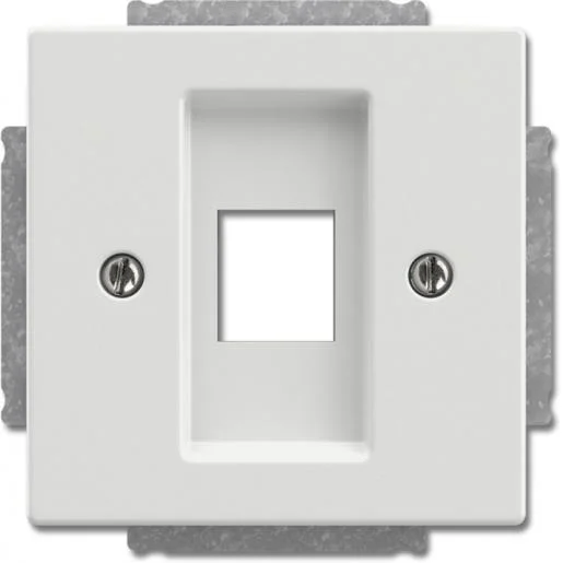 Direct Verzonden Busch-Jaeger 2561-884 Future Linear centraalplaat 1V Modular-Jack wit mat