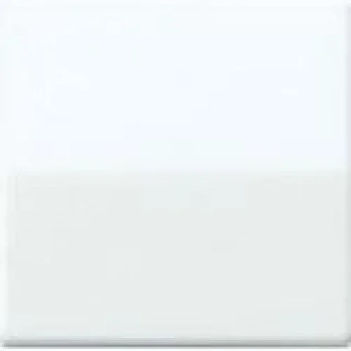 Direct Verzonden Jung A1700WW tastafdekking LED dimmer alpin wit