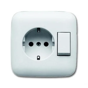 Busch-Jaeger 4310/6 EUJ-212-500 Wissel combinatie ra wit(creme) Direct Beschikbaar