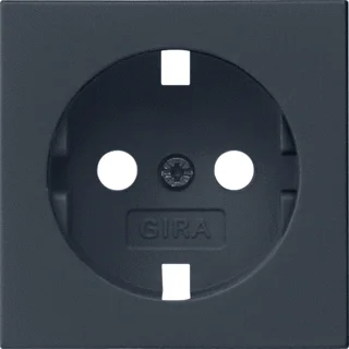 Gira 4920005 Systeem 55 losse centraalplaat zwart mat tbv wandcontactdoos Bestseller