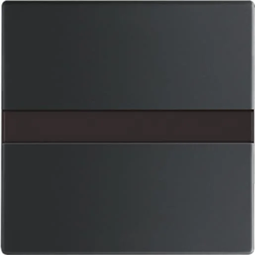 Premium Busch-Jaeger 64765-885 comforttoets Future Linear zwart mat
