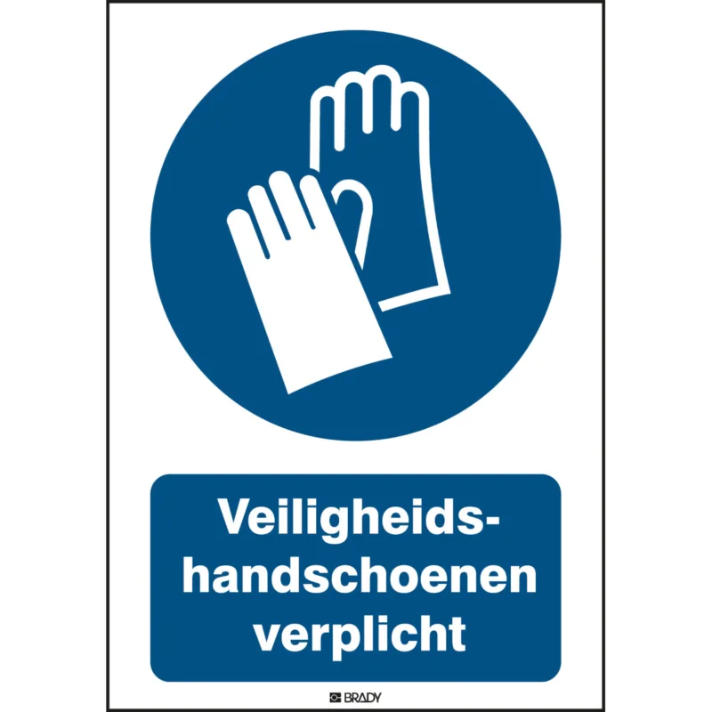 Alleen Vandaag Brady - Gebodspictogram - ISO Veiligheidspictogram - Veiligheidshandschoenen verplicht - M/M009/NL244/TM-148X210-1 - 198950 - 86198950