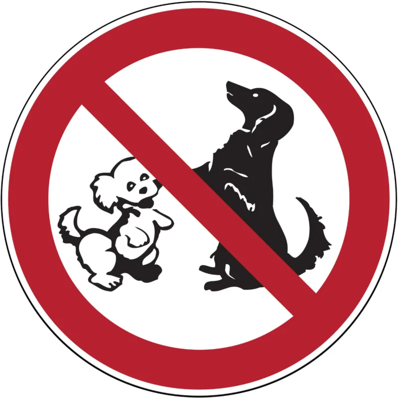 Beperkt Aanbod Brady - Verbodspictogram - Verbodspictogram - Verboden voor honden - PIC 637-DIA 200-B7541 - 223093 - 86223093