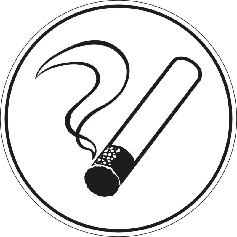 Brady - Overige pictogrammen - Informatietekens - Roken toegestaan - PIC 275-DIA 100-B7541 (BRANDED) - 250149 - 86250149 Shop Nu