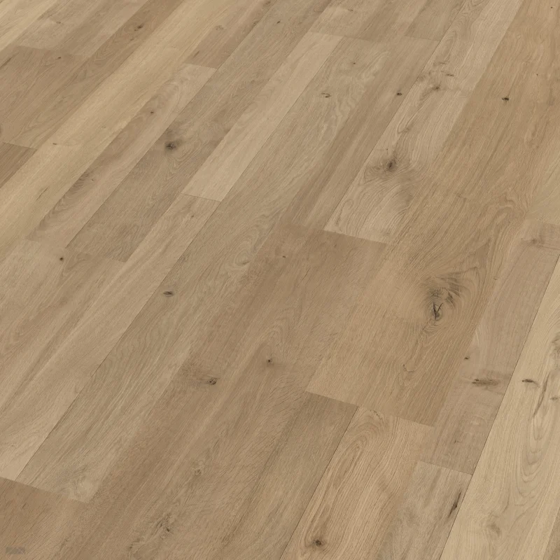 Meister LC55 Natural oak Laminaatvloer Betaalbaar