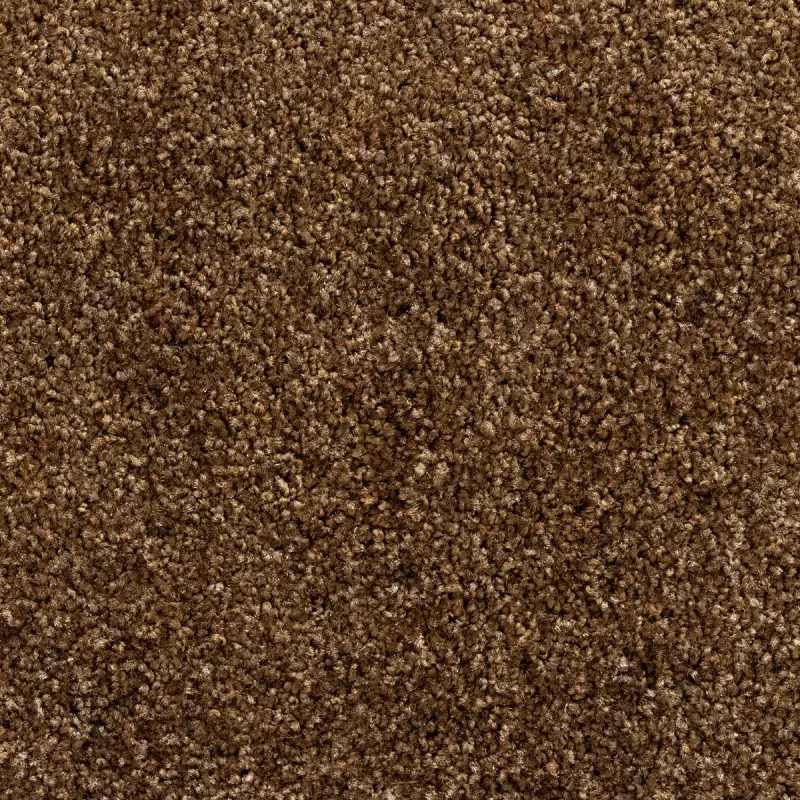Exclusieve Aanbieding OTIUM Entreemat functioneel bruin 100 cm breed