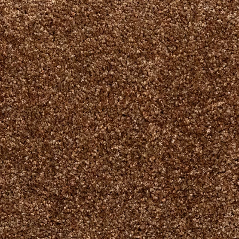 Betrouwbaar OTIUM Entreemat functioneel roest 200 cm breed