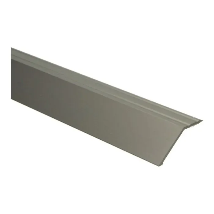 Lage Kosten Overgangsprofiel zelfklevend 22mm RVS 270cm - 51455