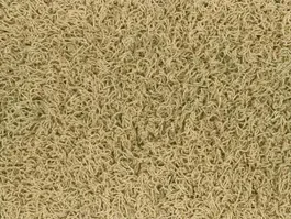 Tapijt Bonaparte Chinchilla naturel 173 uni 1401 Veilige Betaling