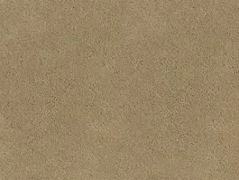 Finale Uitverkoop Tapijt Desso Asteranne quartz 1093