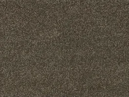 Meest Verkocht Tapijt Kira‘s Dream light of dusk 2050