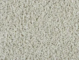 Tapijt Bonaparte Vincent naturel 271 3056 Koop Online