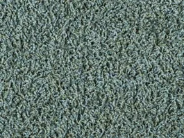 Tapijt Bonaparte Vincent cactus 221 3048 Flitsaanbieding