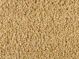 Merkproduct Tapijt Bonaparte Vincent messing 284 3058