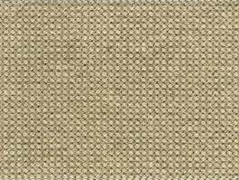 Laatste Versie Tapijt Desso Rodin 9107 2369
