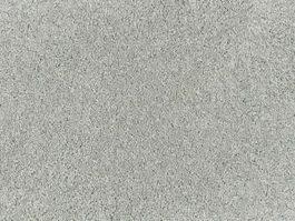 Direct Beschikbaar Tapijt Palesse aluminium 2287