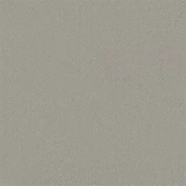 Koopje Tapijt Darwin Lichtgrijs 10014928