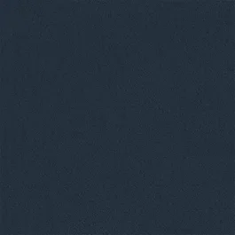 Betrouwbaar Tapijt Darwin Donkerblauw 10014934