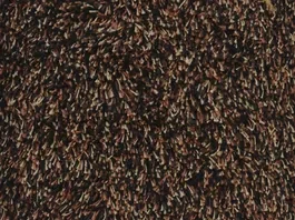 Uitverkoop Deurmat Lobby sepiabruin 4124