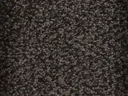 Deurmat Salon onyx 4199 Hete Deal