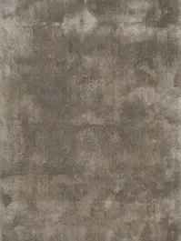 Alleen Vandaag Vloerkleed Lago lichtgrijs 5647