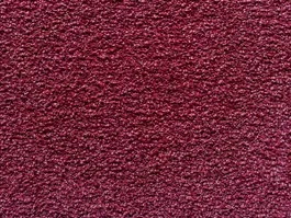 Seizoensaanbieding Tapijt Excellence Rood 820 10018344