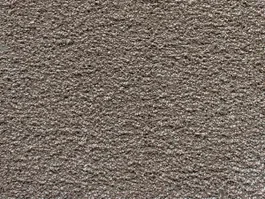 Tapijt Excellence Beige 890 10018361 Koop Online